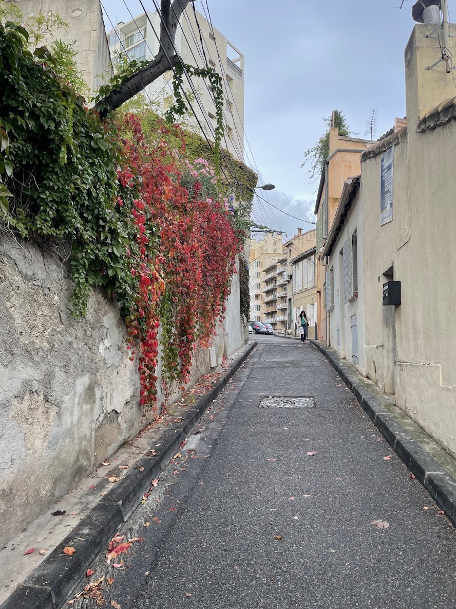 A tale of two cities, Marseille – Three Bears Travel